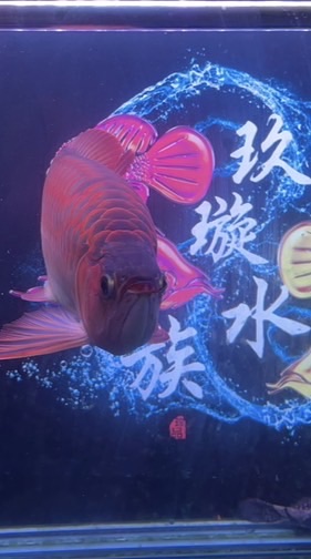 玖璇精品直購群