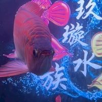 玖璇精品直購群