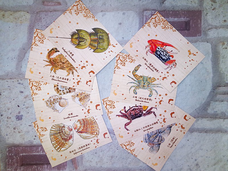 水彩手繪風格澎湖潮間帶海洋生物，適合喜愛海洋生物者收藏