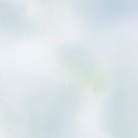 TWN宇宙華人俱樂部