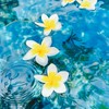 芸能人なりきり