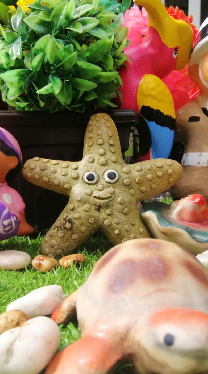 บ้านพักระยองราคา​ถูก​พร้อมสระว่ายน้ำส่วนตัวใกล้หาดแม่รำพึง