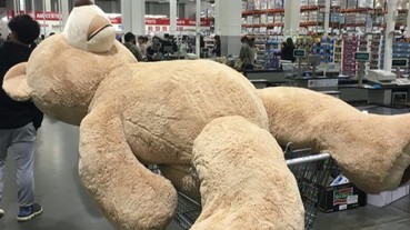 開車如何順利載回 Costco 巨熊？他想到這個超爆笑的妙招！