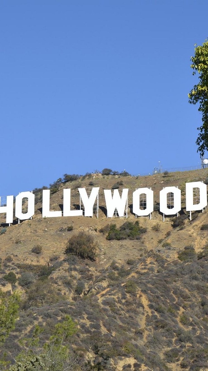 🇺🇸美國代購