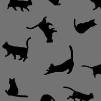 🐾黒猫・ナイター・ミッドナイト・グレード予想🐾