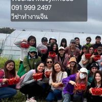 🇨🇳🇹🇭หางานนวดจีน/วีซ่าทำงาน 1ปี /สายขาวเท่านั้น