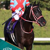 地方競馬中央競馬の攻略@スタオン軸馬予想