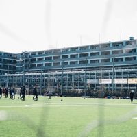 個サル⚽️@ゴールドクレストスタジアム鎌倉（クレスタ）