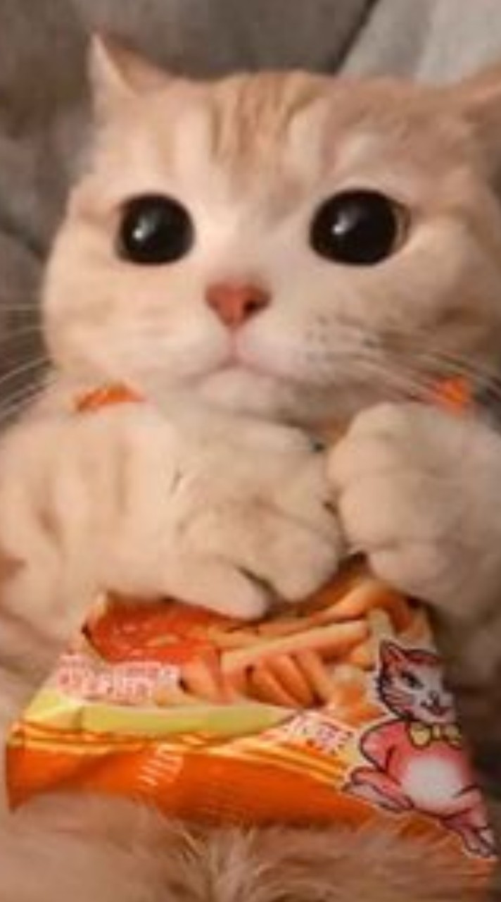 全 緩 也   ❣️