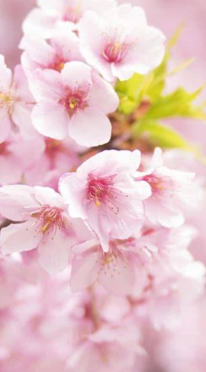 生活保護のいろんな話ししましょ！見つけてくれてありがとう😊生保の方ならどなたでもオケー👌