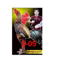 คนรักไก่ชน