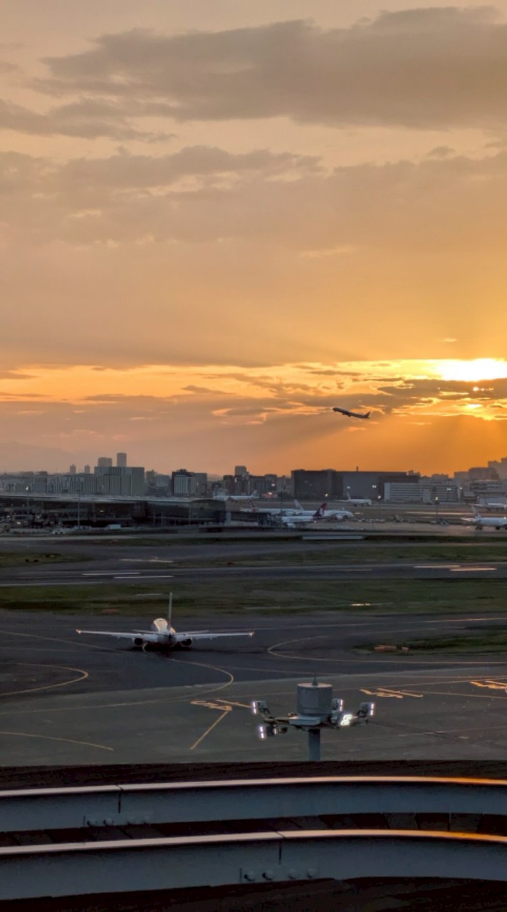 飛行機大好きな人来い！