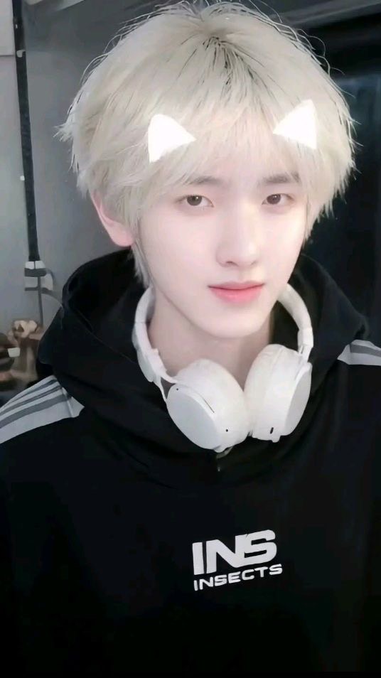 ✧⋆☾ 𝒯𝒾𝓂ℯ𝓈 𝒞ℴ𝓁𝓁ℯ𝑔ℯ ☆