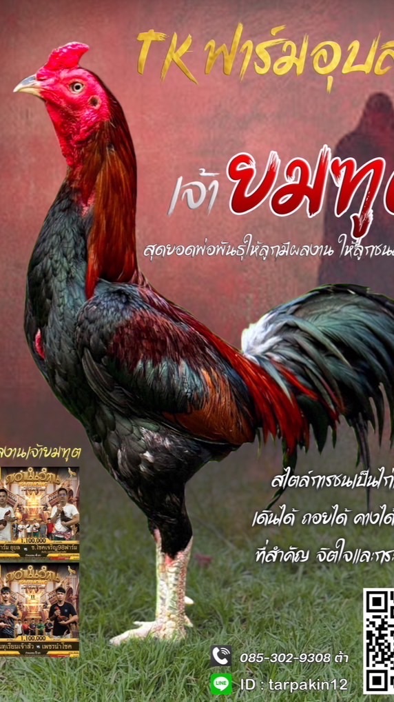 ทีเคอุบลกลุ่มที่6