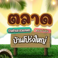 ตลาดบ้านโปร่งใหญ่ วังท่าช้าง