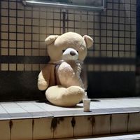 台南開元成大雅舍社區住戶花園