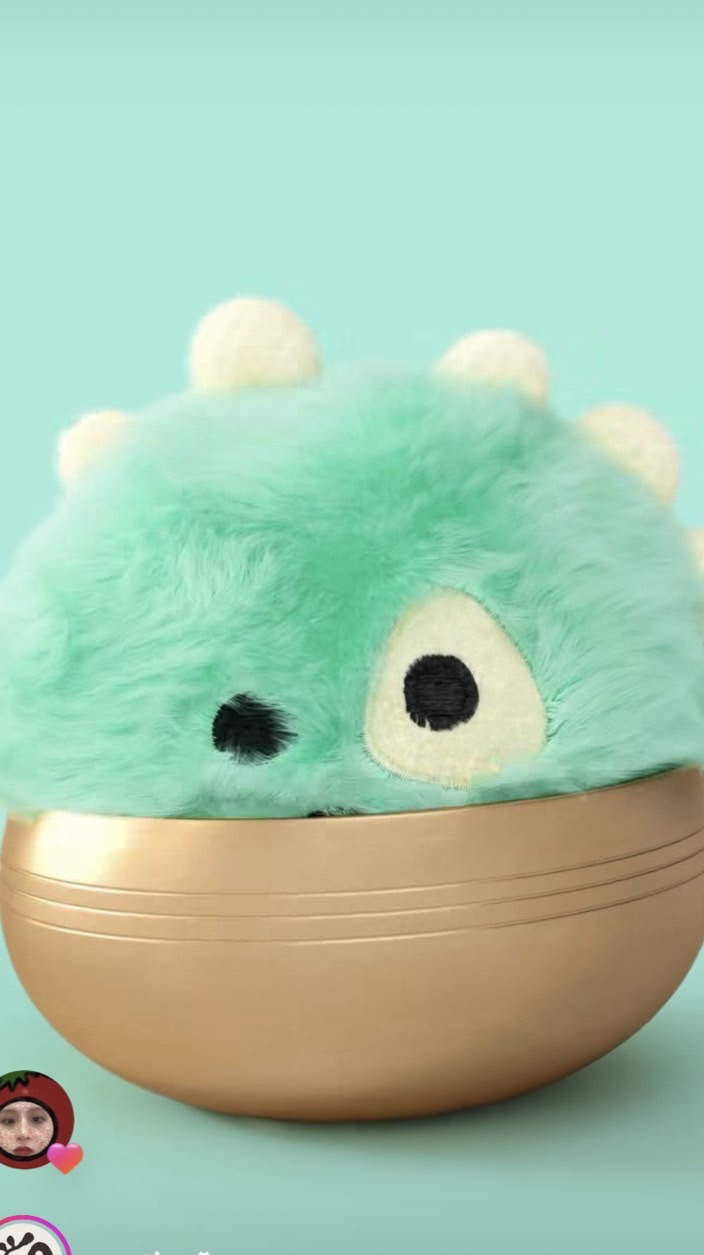 Jin的Cortis代購群🚗