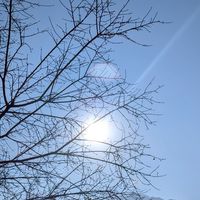 115-01-07武界雲海民宿