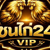 ชนไก่24VIP