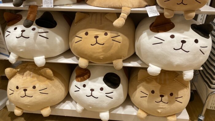 「HAPiNS」蓄熱式エコ湯たんぽ