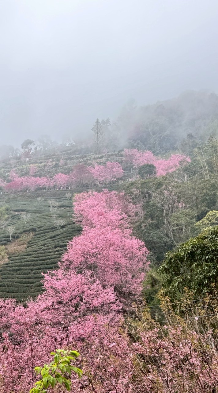 睡不飽又愛玩