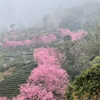 睡不飽又愛玩