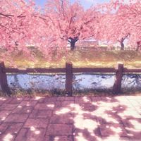 歌うのが好きなら入るべし‼︎