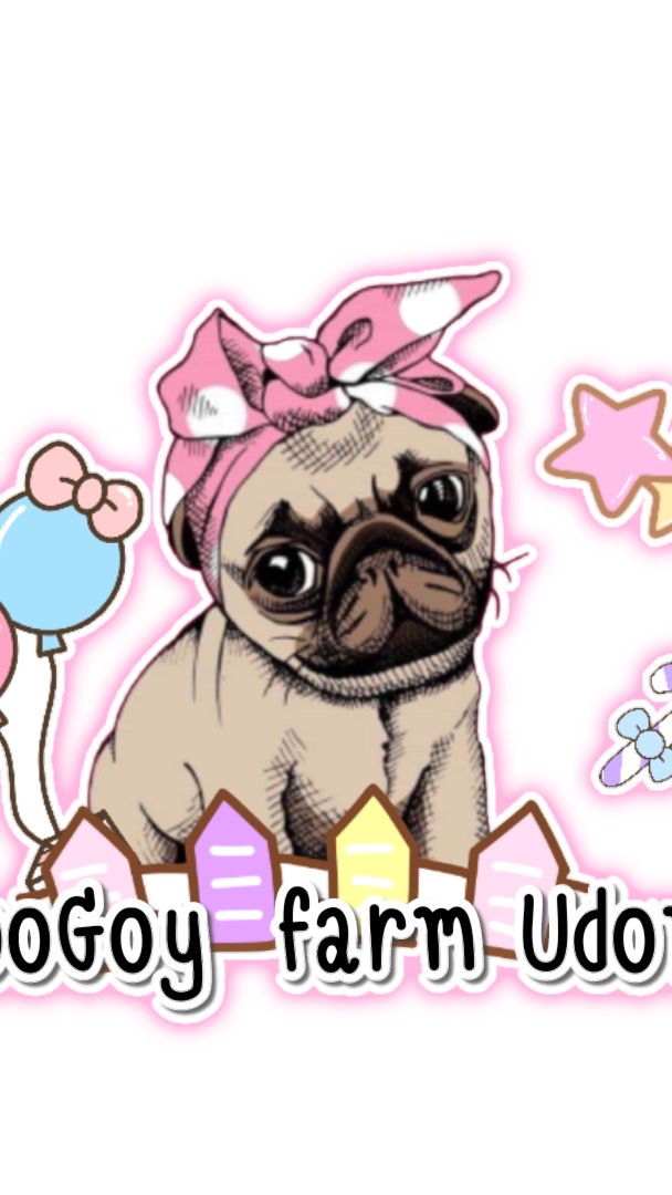 🌸คุณนู๋ก้อยฟาร์ม🐶ลูกสุนัขอุดรธานี🌸