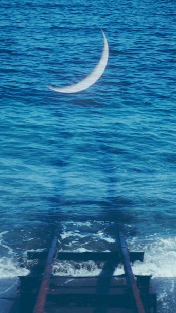 ＨＱ緩ハント：夜明けと蛍