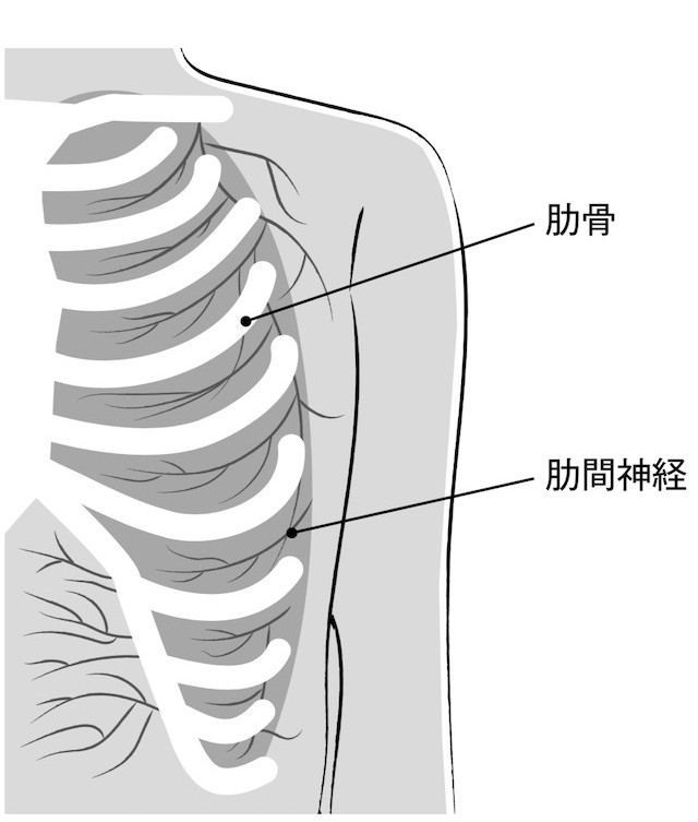 聞いたことあるけど どんな病気 肋間神経痛 の基礎知識