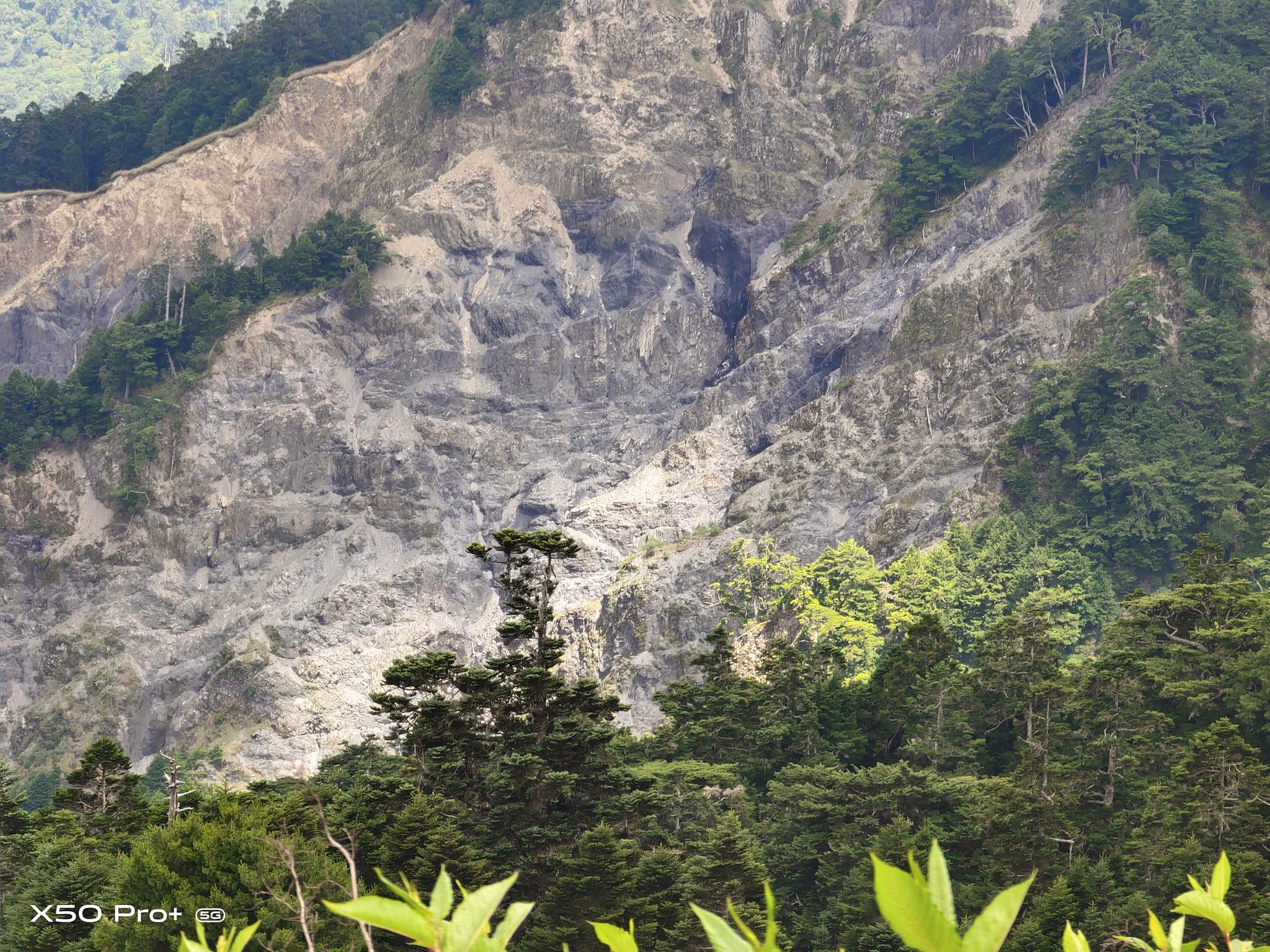 Vivo X50 Pro+(5倍）