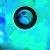 K¥$Random Dice交流分享