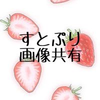 STPR、画録共有（雑談禁止）