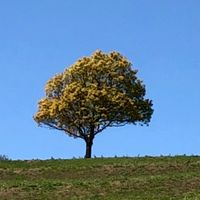 きなこと仲間たち(仮)