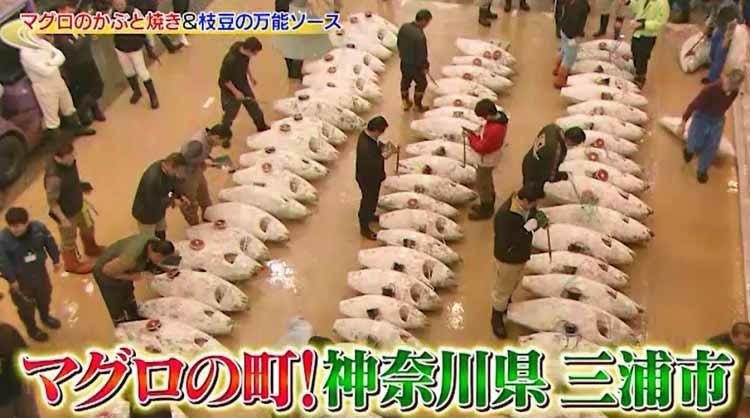 これで20人前 約90キロのメバチマグロの元祖かぶと焼き