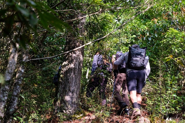 山女孩Melissa_羅馬縱走_羅葉尾山_馬武佐野郡山0736-2.JPG