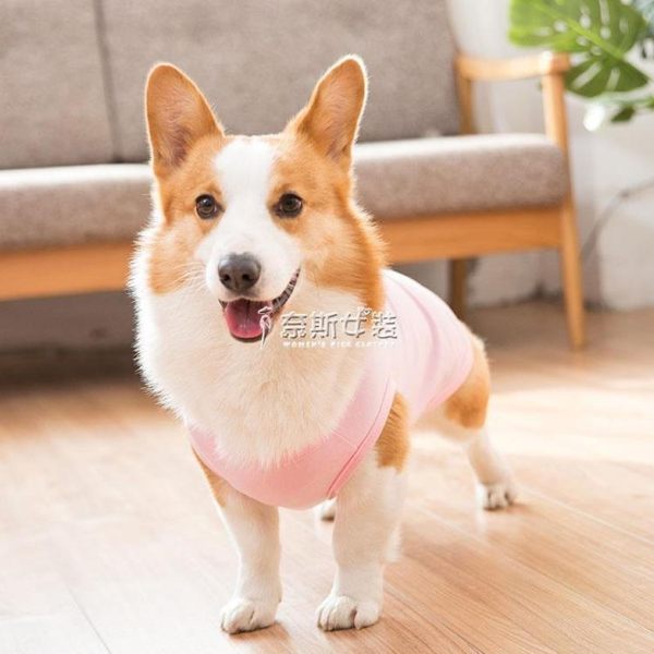 寵物衣服柯基犬專用夏季薄款防曬背心夏天短腿法斗寵物奈斯女裝