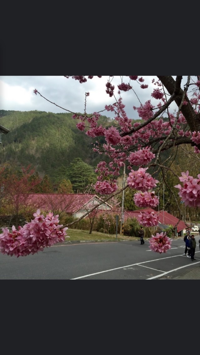 詠采房地產 總部
