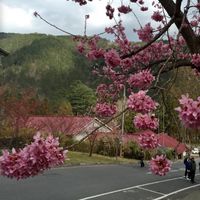 詠采房地產 總部