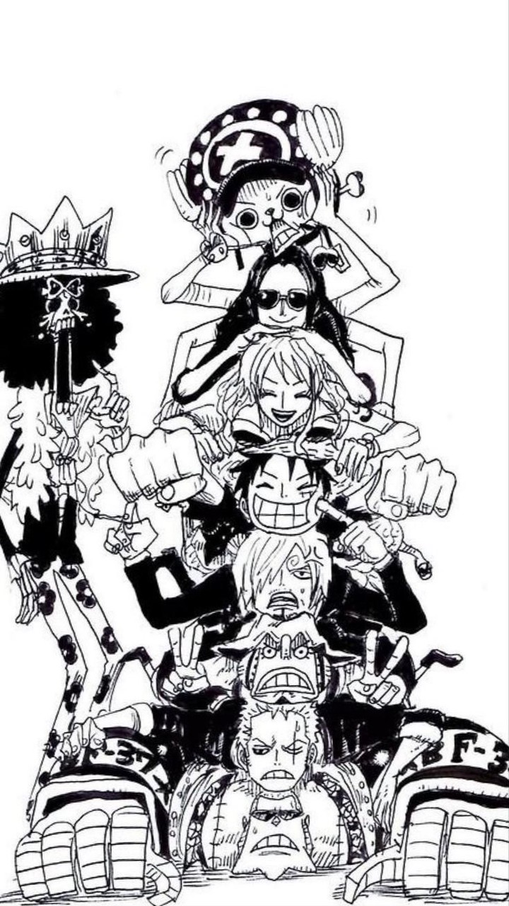 【ONEPIECE也】宣伝部屋 .⋆