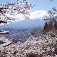 艾蜜莉日本散策