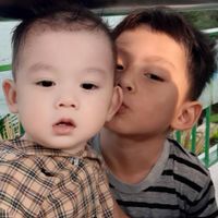 ฟีนิกและพอตเตอร์