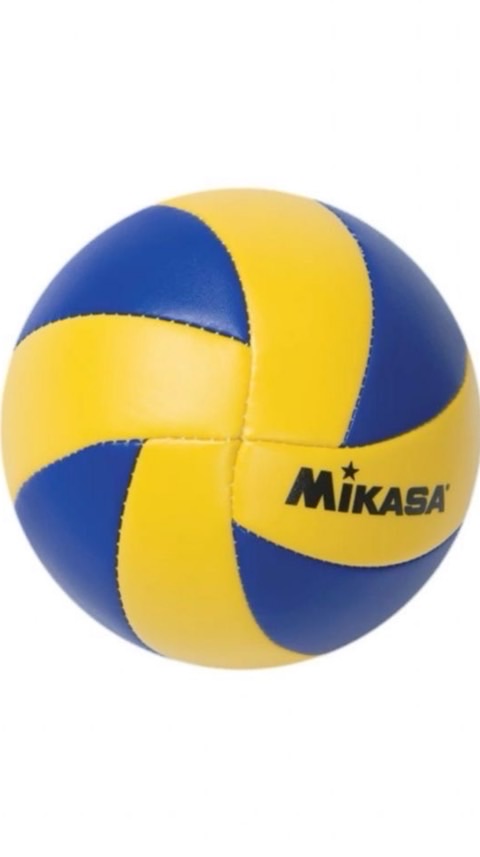 วอลเลย์บอล