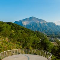 チューリップを育てよう　〜花咲山10周年イベント準備〜