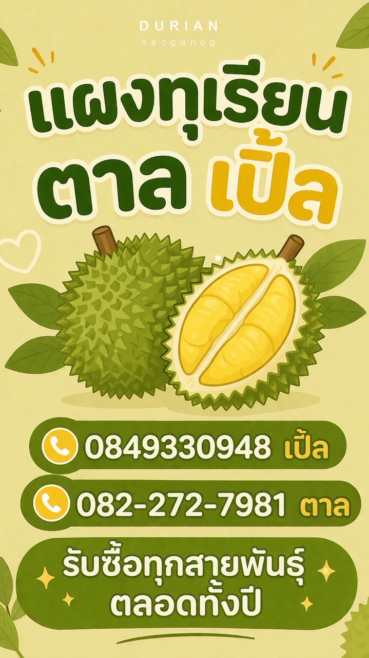 แจ้งราคา แผง ตาลเปิ้ล