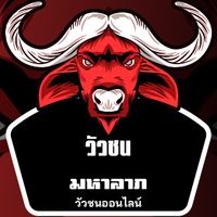 🐲วัวชนมหาลาภ แนวทาง🐂
