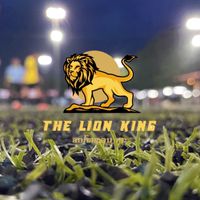 Photos the lion gold🦁🏆🌱💖