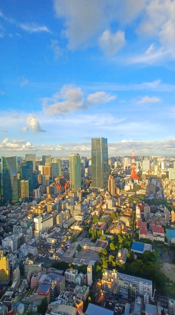 七八年級獨旅 旅遊  徵旅伴