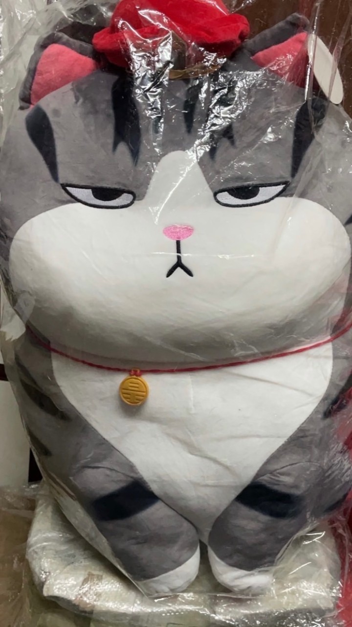 阿盛夾樂群