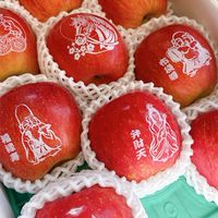 🍍禧果家同行批發專屬群